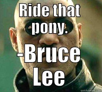 ride that pony - RIDE THAT PONY. -BRUCE LEE Matrix Morpheus