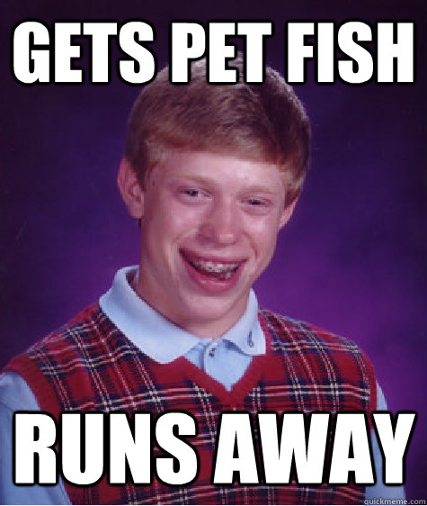 gets pet fish runs away  Bad Luck Brian