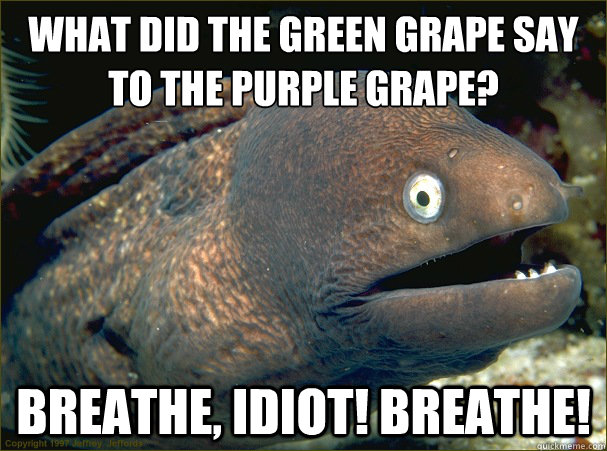 What did the green grape say to the purple grape?
 Breathe, idiot! BREATHE!   Bad Joke Eel