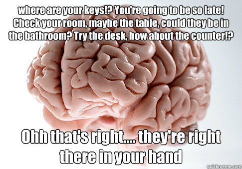 where are your keys!? You're going to be so late! Check your room, maybe the table, could they be in the bathroom? Try the desk, how about the counter!?  Ohh that's right.... they're right there in your hand   Scumbag Brain