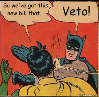 So we've got this new bill that... Veto!  Slappin Batman