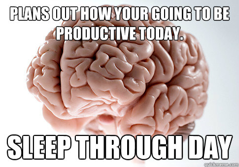 Plans out how your going to be productive today. Sleep through day  Scumbag Brain