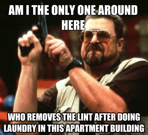 Am I the only one around here who removes the lint after doing laundry in this apartment building - Am I the only one around here who removes the lint after doing laundry in this apartment building  Walter