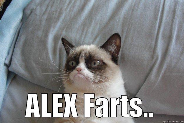 It' only a party until -  ALEX FARTS.. Grumpy Cat