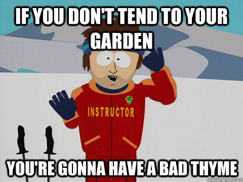 If you don't tend to your garden You're gonna have a bad thyme  
