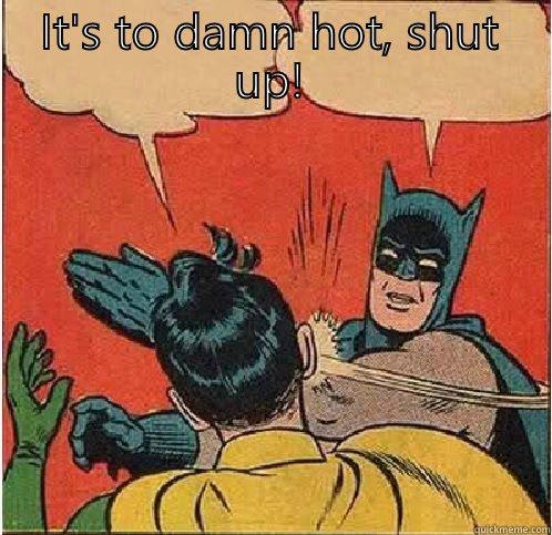 IT'S TO DAMN HOT, SHUT UP!  Batman Slapping Robin