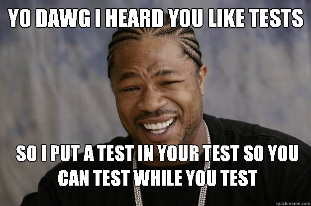 Yo Dawg I heard you like tests So I put a test in your test so you can test while you test  Xzibit meme 2