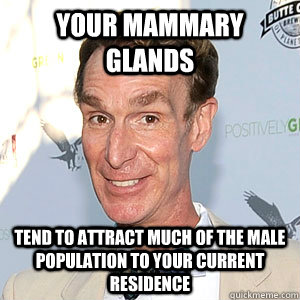 Your mammary glands tend to attract much of the male population to your current residence  