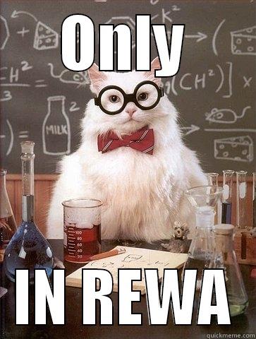 ONLY IN REWA Chemistry Cat
