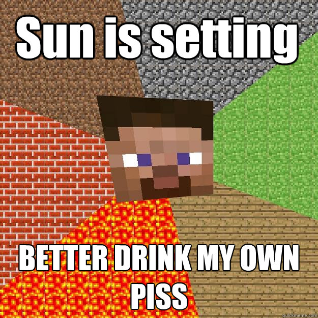 Sun is setting BETTER DRINK MY OWN PISS  Minecraft