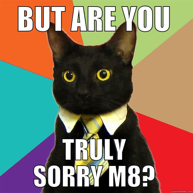 BUT ARE YOU TRULY SORRY M8? Business Cat