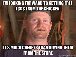 I’m looking forward to getting free eggs from the chicken It’s much cheaper than buying them from the store  sugar bear