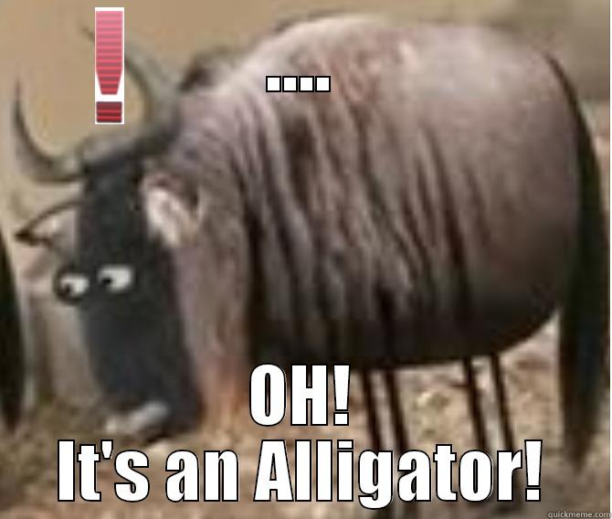 ......OH! It's an Alligator! - .... OH! IT'S AN ALLIGATOR! Misc