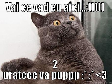 VAI CE VAD EU AICI...:))))) 2 URATEEE VA PUPPP :* :* <3 conspiracy cat