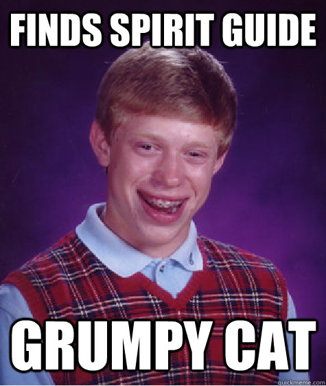 Finds Spirit guide grumpy cat  Bad Luck Brian