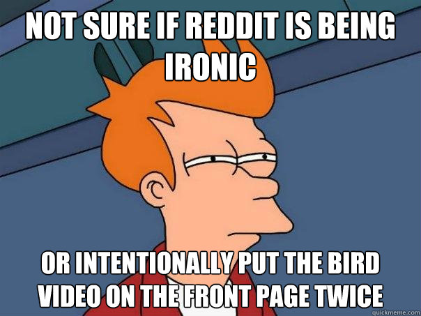 Not sure if Reddit is being ironic Or intentionally put the bird video on the front page twice  Futurama Fry