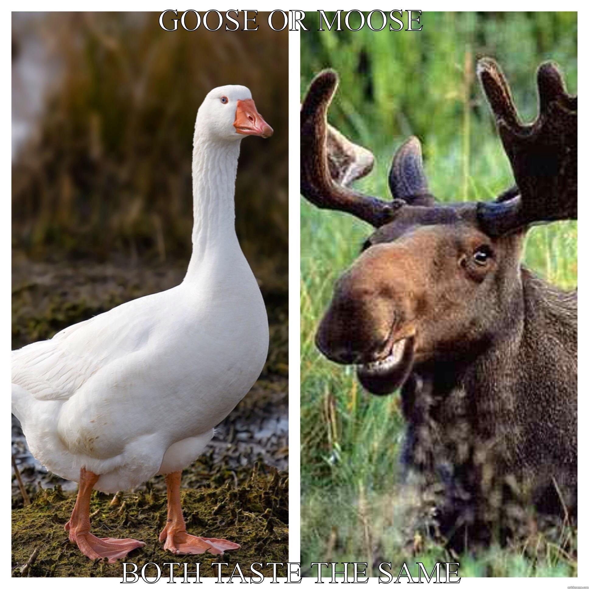 GOOSE OR MOOSE BOTH TASTE THE SAME Misc