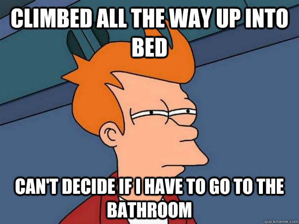 Climbed all the way up into bed Can't decide if I have to go to the bathroom  Futurama Fry