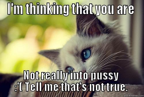 I'M THINKING THAT YOU ARE NOT REALLY INTO PUSSY :'( TELL ME THAT'S NOT TRUE. First World Problems Cat