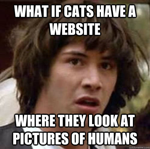 What if cats have a website where they look at pictures of humans  conspiracy keanu