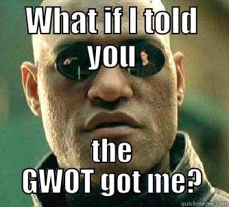 WHAT IF I TOLD YOU THE GWOT GOT ME? Matrix Morpheus