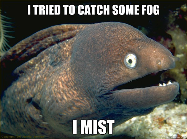 I tried to catch some fog I mist  Bad Joke Eel