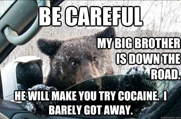 Be careful My big brother is down the road. He WILL make you try cocaine.  I barely got away.  Good Bear Greg