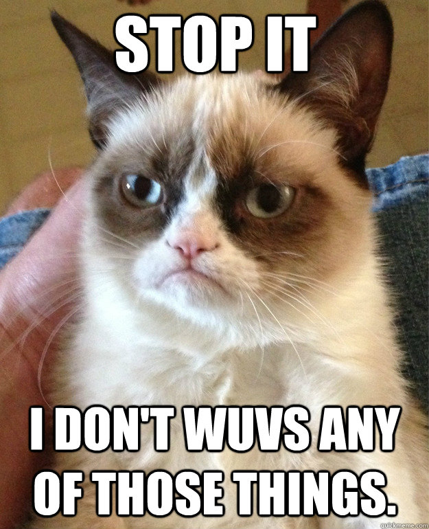 Stop it I don't wuvs any of those things.  Grumpy Cat