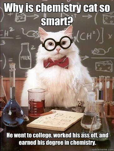 Why is chemistry cat so smart? He went to college, worked his ass off, and earned his degree in chemistry.  Chemistry Cat