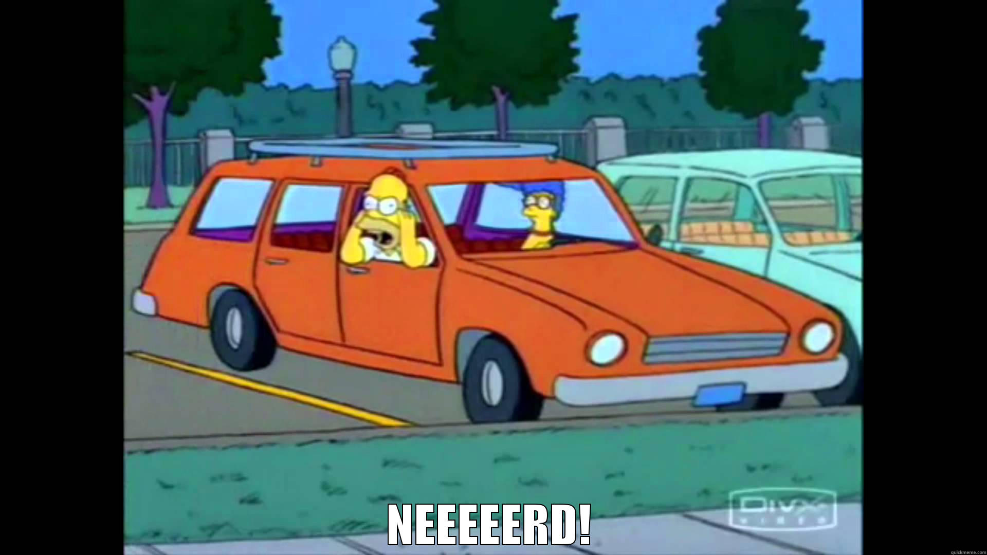 Simpsons NERD! -  NEEEEERD! Misc