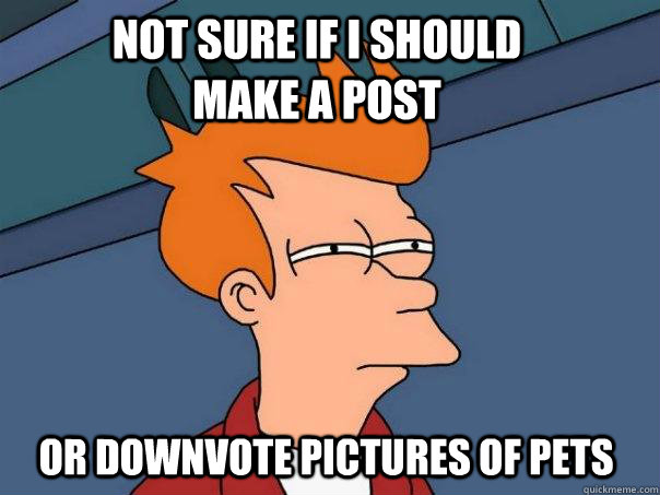 Not sure if I should make a post Or downvote pictures of pets   - Not sure if I should make a post Or downvote pictures of pets    Futurama Fry