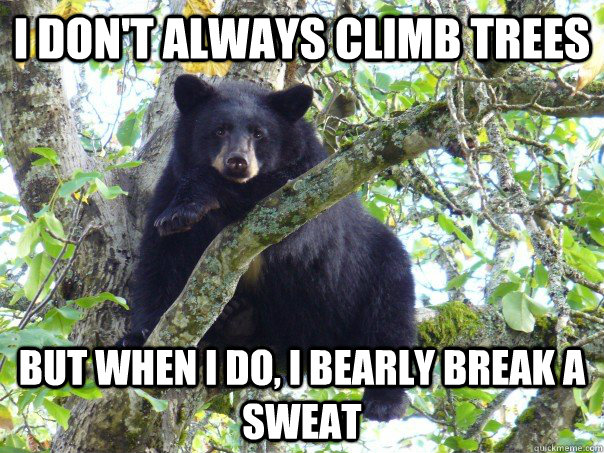 I don't always climb trees but when i do, I bearly break a sweat  