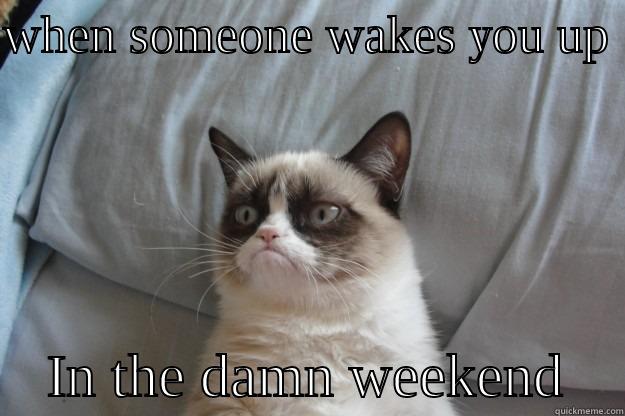 WHEN SOMEONE WAKES YOU UP      IN THE DAMN WEEKEND    Grumpy Cat