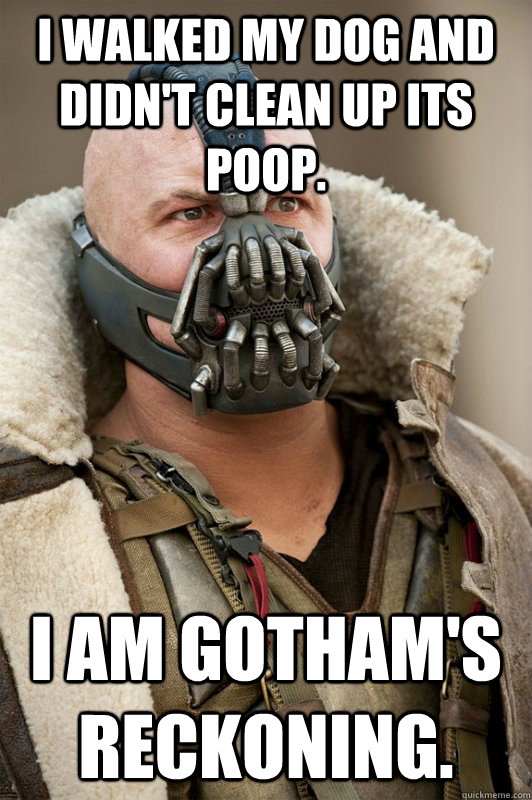 I walked my dog and didn't clean up its poop. I am gotham's reckoning.  Bane