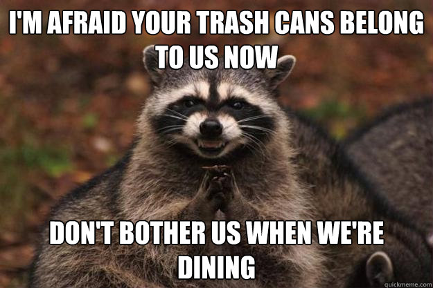 i'm afraid your trash cans belong to us now don't bother us when we're dining - i'm afraid your trash cans belong to us now don't bother us when we're dining  Evil Plotting Raccoon