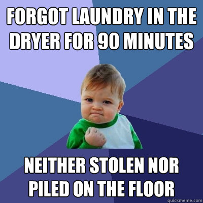 Forgot Laundry in the Dryer for 90 Minutes Neither stolen nor piled on the floor  Success Kid