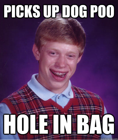 Picks up dog poo Hole in bag - Picks up dog poo Hole in bag  Bad Luck Brian