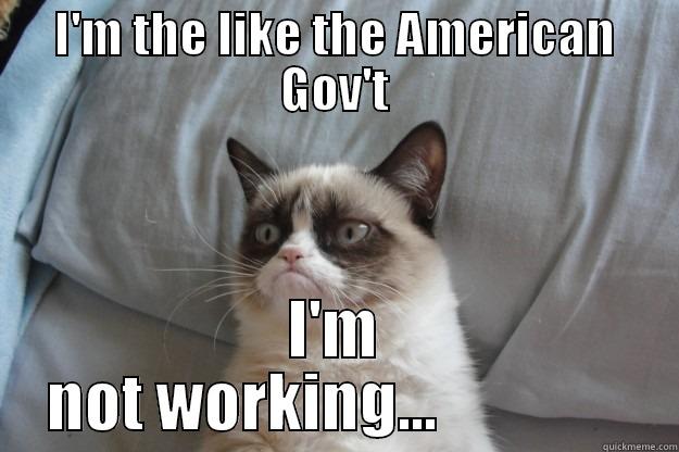 I'M THE LIKE THE AMERICAN GOV'T I'M NOT WORKING...               Grumpy Cat