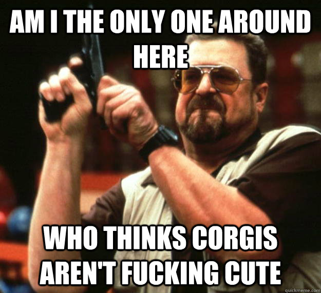 am I the only one around here Who thinks corgis aren't fucking cute  Angry Walter