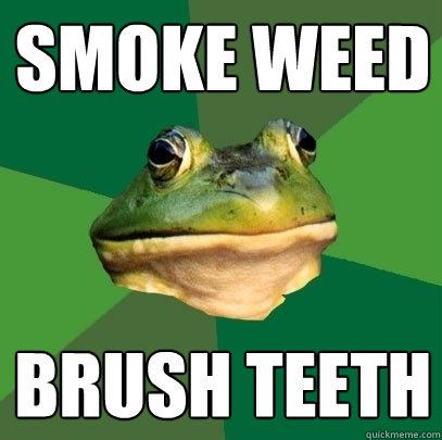 Smoke weed Brush teeth  Foul Bachelor Frog