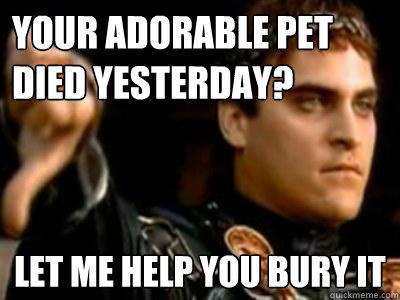 Your adorable pet died yesterday? Let me help you bury it  