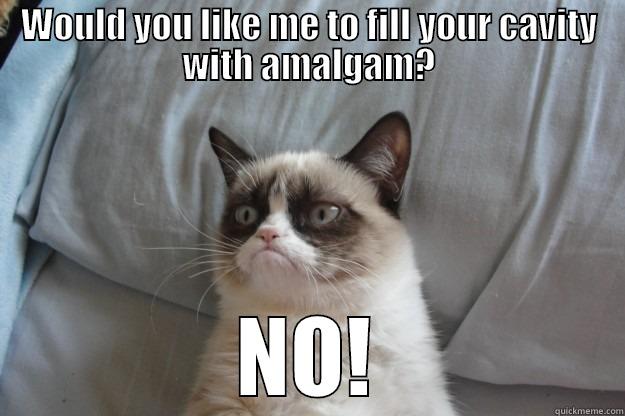 no to amalgam - WOULD YOU LIKE ME TO FILL YOUR CAVITY WITH AMALGAM? NO! Grumpy Cat