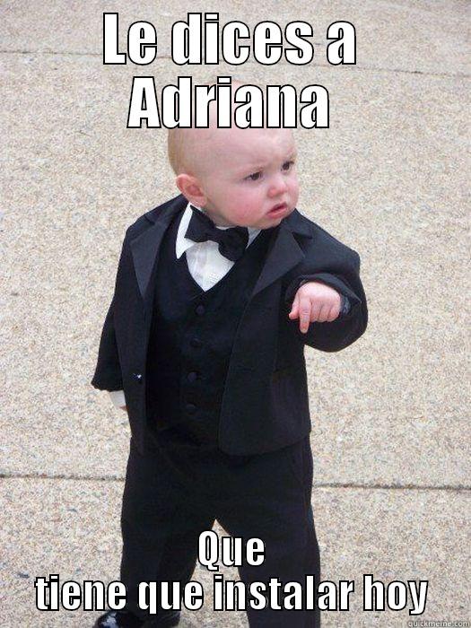 LE DICES A ADRIANA QUE TIENE QUE INSTALAR HOY Baby Godfather