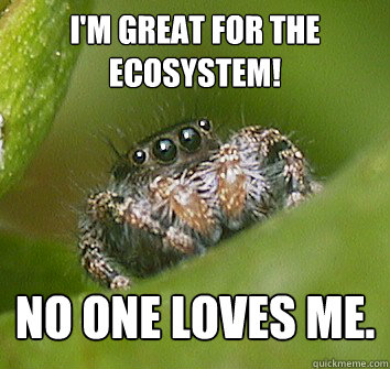 I'm great for the ecosystem! No one loves me.  Misunderstood Spider