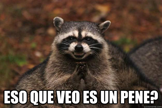  Eso que veo es un pene?  -  Eso que veo es un pene?   Evil Plotting Raccoon