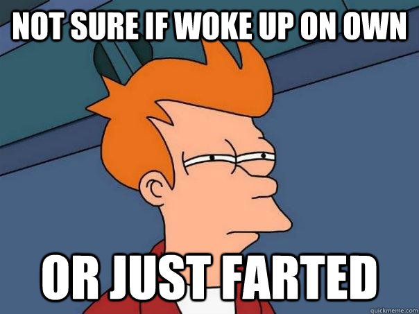 Not sure if woke up on own Or just farted  Futurama Fry