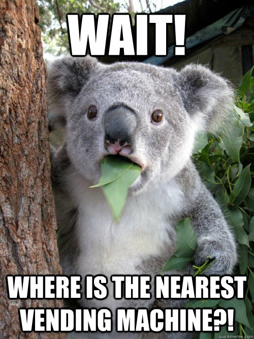 wait! where is the nearest vending machine?! - wait! where is the nearest vending machine?!  koala bear