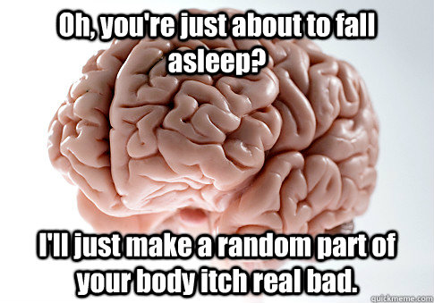 Oh, you're just about to fall asleep? I'll just make a random part of your body itch real bad.   Scumbag Brain