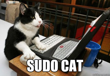  Sudo cat  