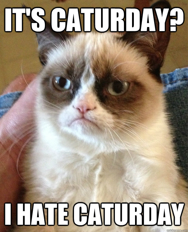 It's Caturday? I hate caturday  Grumpy Cat